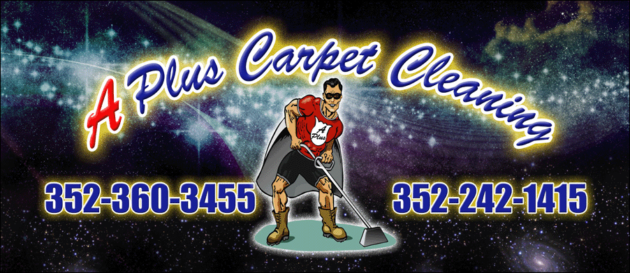 carpet cleaning, upholstery cleaning, 
tile and grout, stain and odor removal, 
pressure washing, boat and rv cleaning
